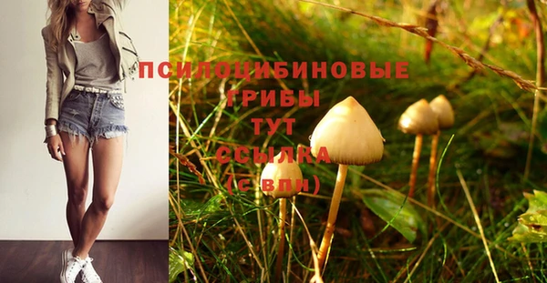 бошки Абаза