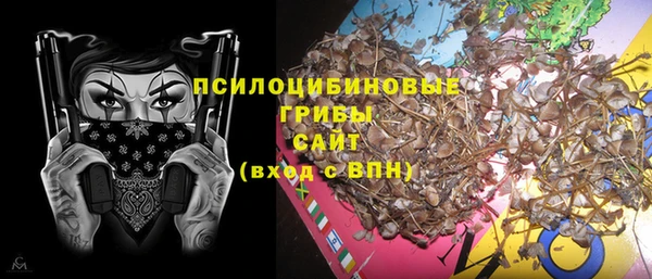 дживик Абинск