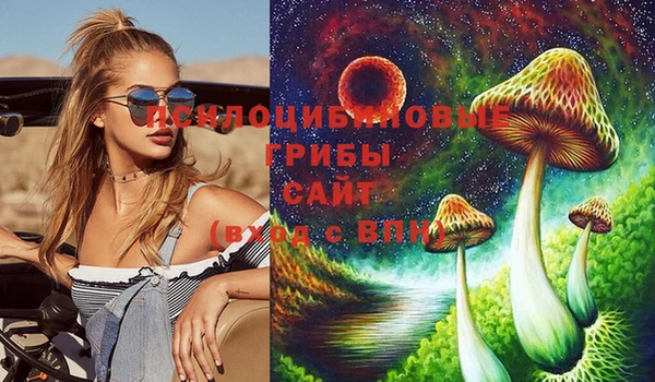 a pvp Абдулино