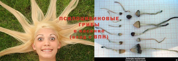 a pvp Абдулино