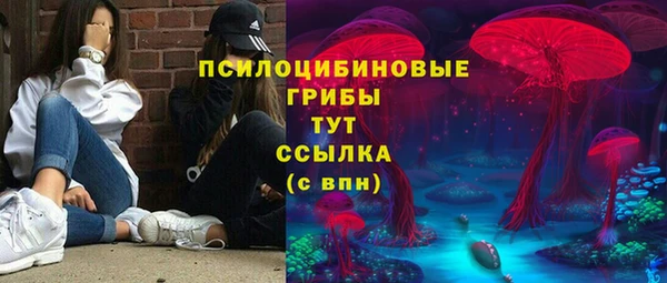 дживик Абинск