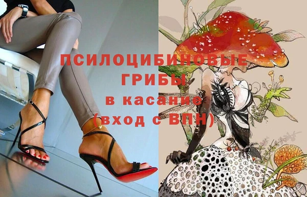 бошки Абаза
