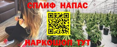 индика Ликино-Дулёво
