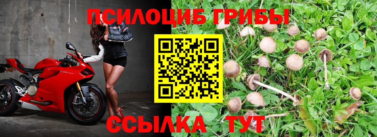 Галлюциногенные грибы мухоморы  Вход с VPN  Торжок 